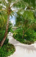 Alila Kothaifaru Maldives  Raa Maldive 8