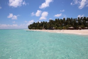 Alimathà Maldives  Felidhoo Maldive 4