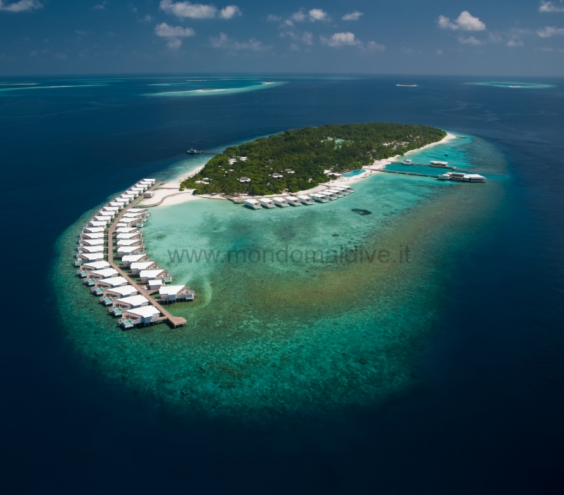 Amilla Maldives Resort and Residence Baa Isole Maldive