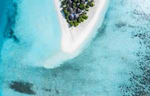 Angsana Velavaru  Dhaalu Maldive 3