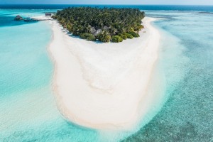 Angsana Velavaru  Dhaalu Maldive 4