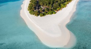 Angsana Velavaru  Dhaalu Maldive 5