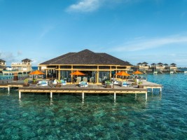 Angsana Velavaru  Dhaalu Maldive 15