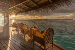 Angsana Velavaru  Dhaalu Maldive 35