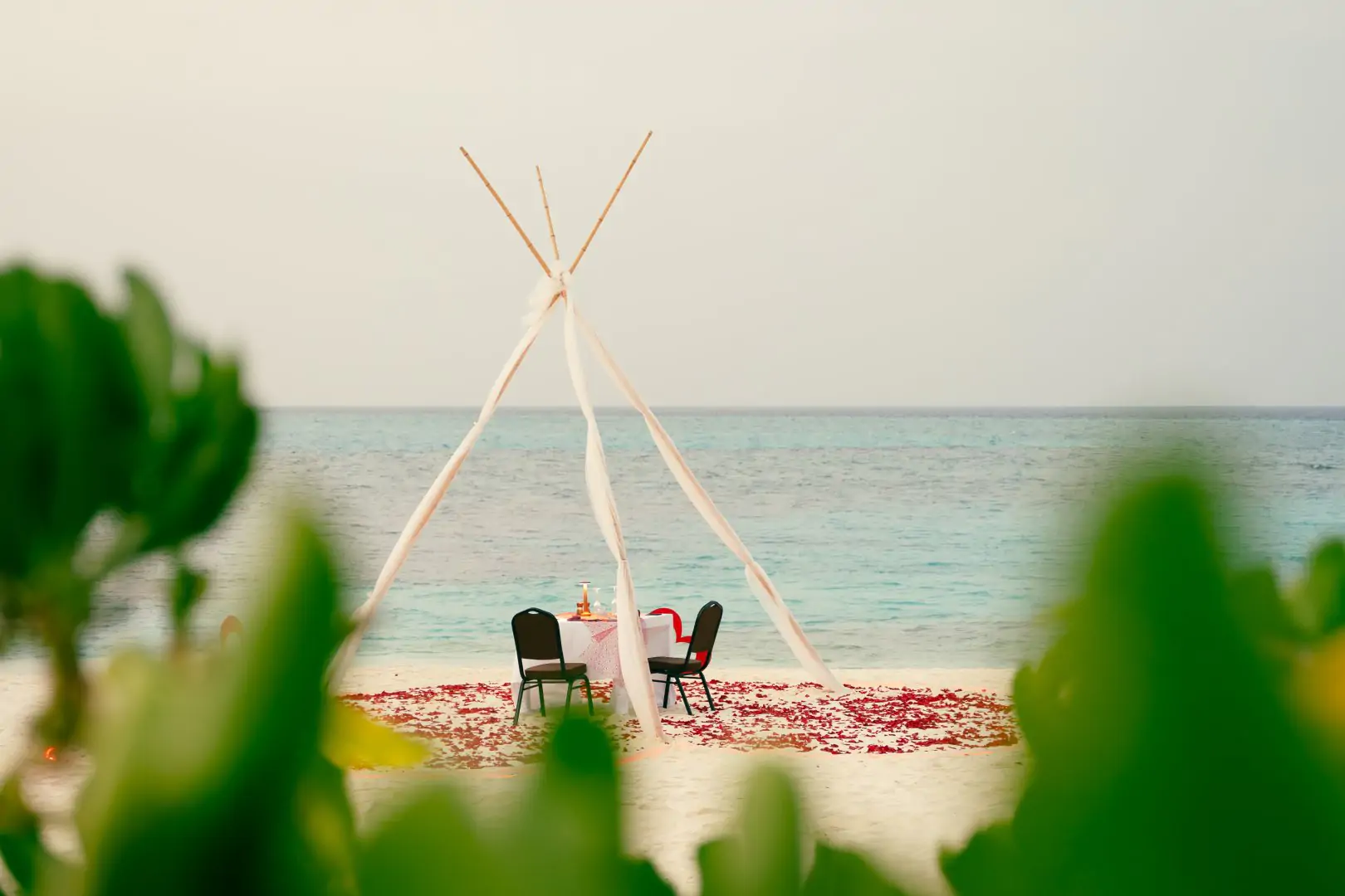 Avani+ Fares Resort Maldives