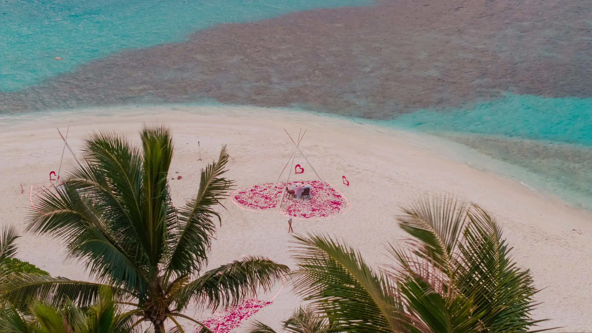 Avani+ Fares Resort Maldives