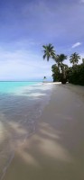 Ayada Maldives  Gaafu Dhaalu Maldive 49