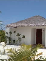 Cocogiri Island Resort  Felidhoo Maldive 22