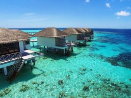 Cocogiri Island Resort  Felidhoo Maldive 24