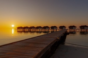 Cocogiri Island Resort  Felidhoo Maldive 26