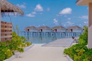 Cocogiri Island Resort  Felidhoo Maldive 34