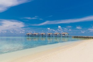 Cocogiri Island Resort  Felidhoo Maldive 41