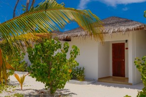 Cocogiri Island Resort  Felidhoo Maldive 46