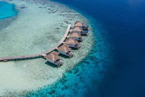 Cocogiri Island Resort  Felidhoo Maldive 49