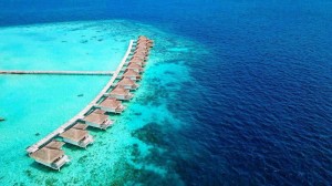 Cocogiri Island Resort  Felidhoo Maldive 63