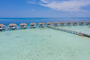 Cocogiri Island Resort  Felidhoo Maldive 64