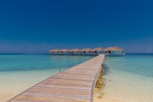 Cocogiri Island Resort  Felidhoo Maldive 65