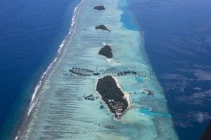 COMO Maalifushi  Thaa Maldive 2