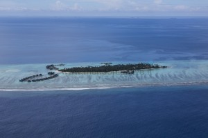 COMO Maalifushi  Thaa Maldive 1