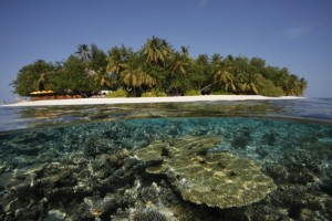 Dhawa Ihuru  Male Nord Maldive 21