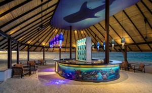 Dhawa Ihuru  Male Nord Maldive 28