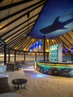 Dhawa Ihuru  Male Nord Maldive 29