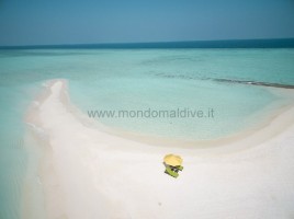 Dhigufaru Island Resort  Baa Maldive 11