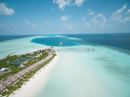 Dhigufaru Island Resort  Baa Maldive 3