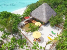 Dhigufaru Island Resort  Baa Maldive 17