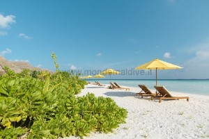 Dhigufaru Island Resort  Baa Maldive 38