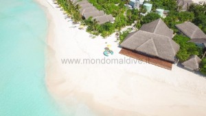 Dhigufaru Island Resort  Baa Maldive 75