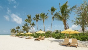 Dhigufaru Island Resort  Baa Maldive 73