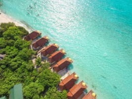 Dhigufaru Island Resort  Baa Maldive 76