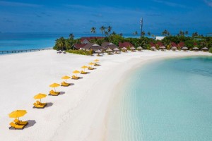 Dhigufaru Island Resort  Baa Maldive 97