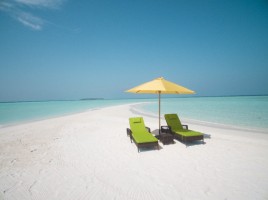 Dhigufaru Island Resort  Baa Maldive 102