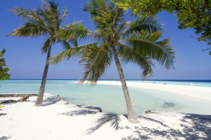 Embudu Village  Male Sud Maldive 44