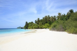 Embudu Village  Male Sud Maldive 45