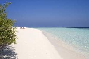 Embudu Village  Male Sud Maldive 43