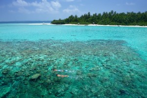 Embudu Village  Male Sud Maldive 48