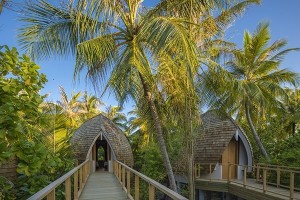 Emerald Faarufushi Maldives  Raa Maldive 65