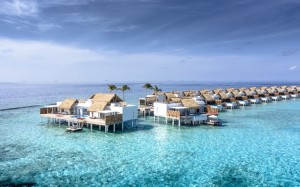 Emerald Maldives Resort  Raa Maldive 184