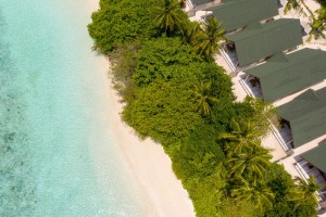 Furaveri Island Resort & Spa  Raa Maldive 22