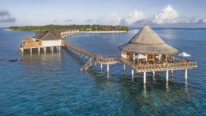 Furaveri Island Resort & Spa  Raa Maldive 4
