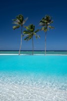 Ifuru Maldives Resort  Raa Maldive 32