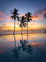 Ifuru Maldives Resort  Raa Maldive 33