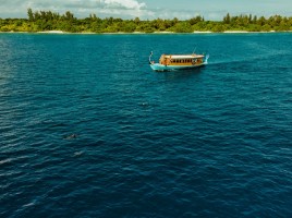 Ifuru Maldives Resort  Raa Maldive 40