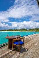 Ifuru Maldives Resort  Raa Maldive 56