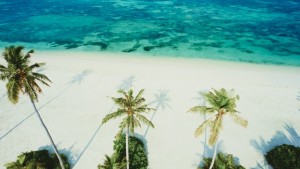 Jawakara Dheru Island Resort  Lhaviyani Maldive 4
