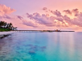 Joali Maldives  Raa Maldive 5