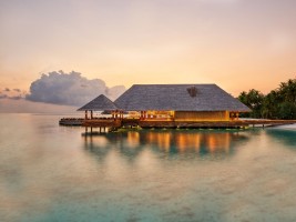 Joali Maldives  Raa Maldive 106